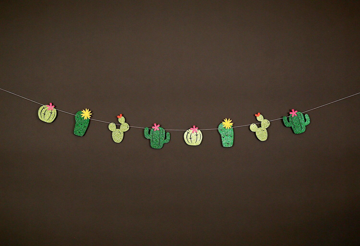 Cactus Garland Cactus Theme Banner Fiesta Party Summer Etsy