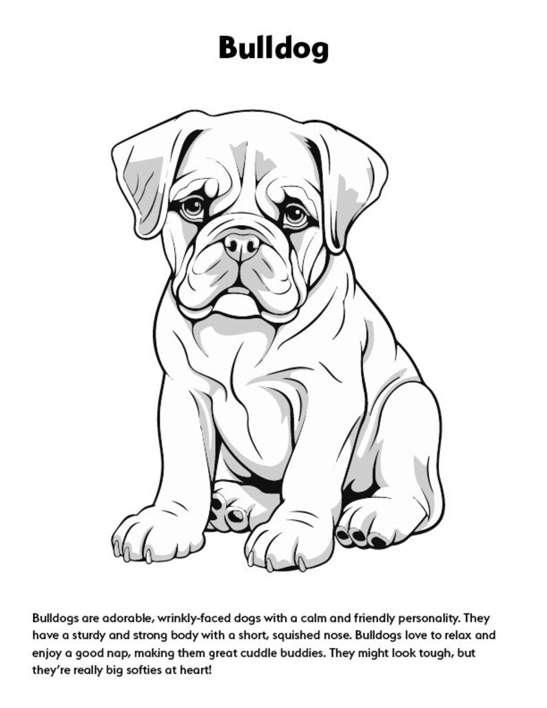 Puppy Coloring Book With Cute Descriptions 12 Coloring Pages Etsy
