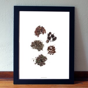 Botanische Print - moderne Wall Art - afdrukbare Art - Boho Decor - digitale botanische - natuur Wall Art Digital - Scandinavische moderne Print