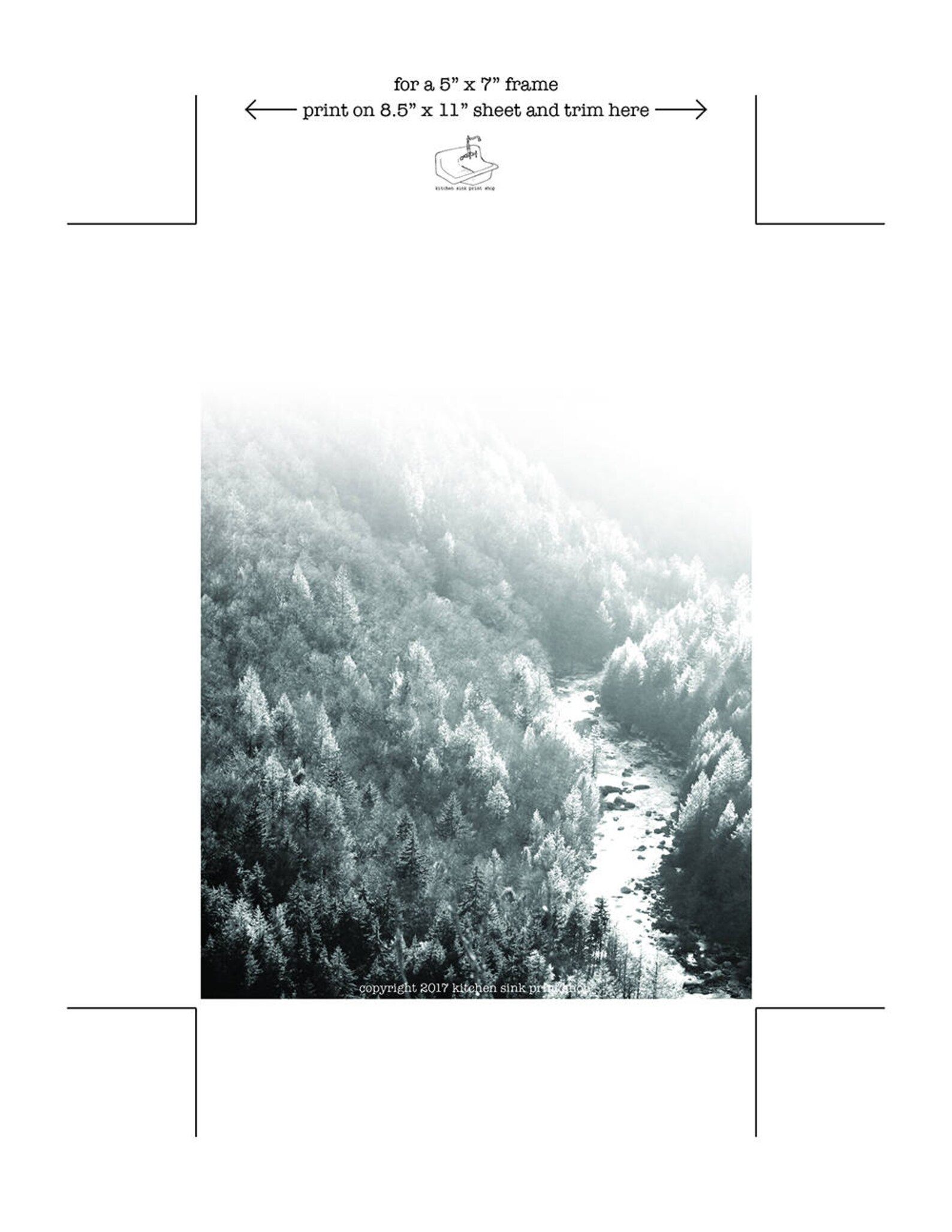 Black and White Dorm Decor Landscape Print Forest Print - Etsy