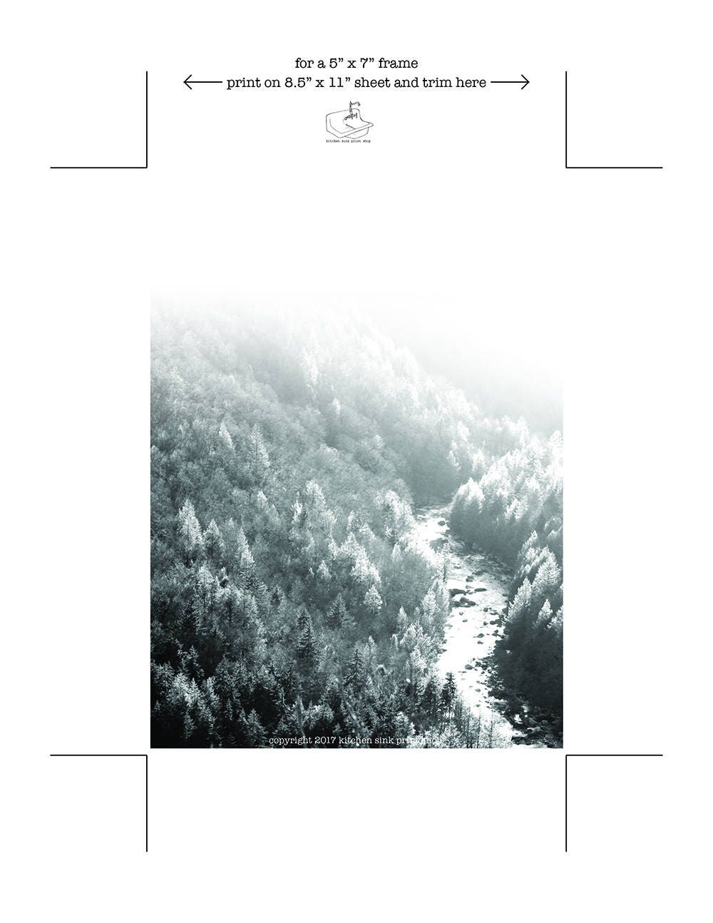Black and White Dorm Decor Landscape Print Forest Print - Etsy