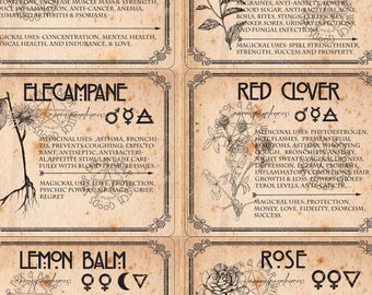 WITCH HERB LABELS Printable 6 Herbs Set 2 - Etsy