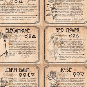 WITCH HERB LABELS printable