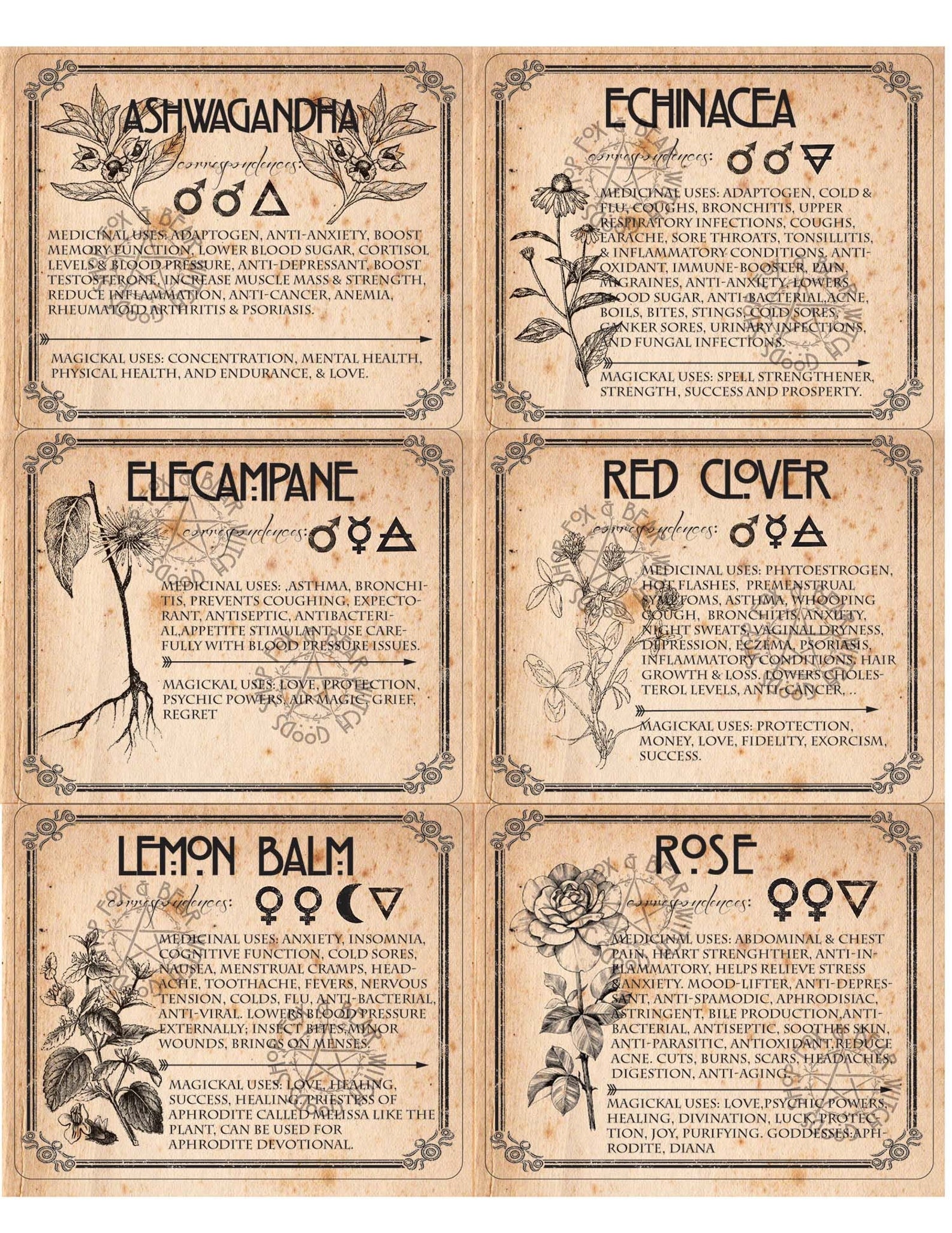 WITCH HERB LABELS Printable - Etsy