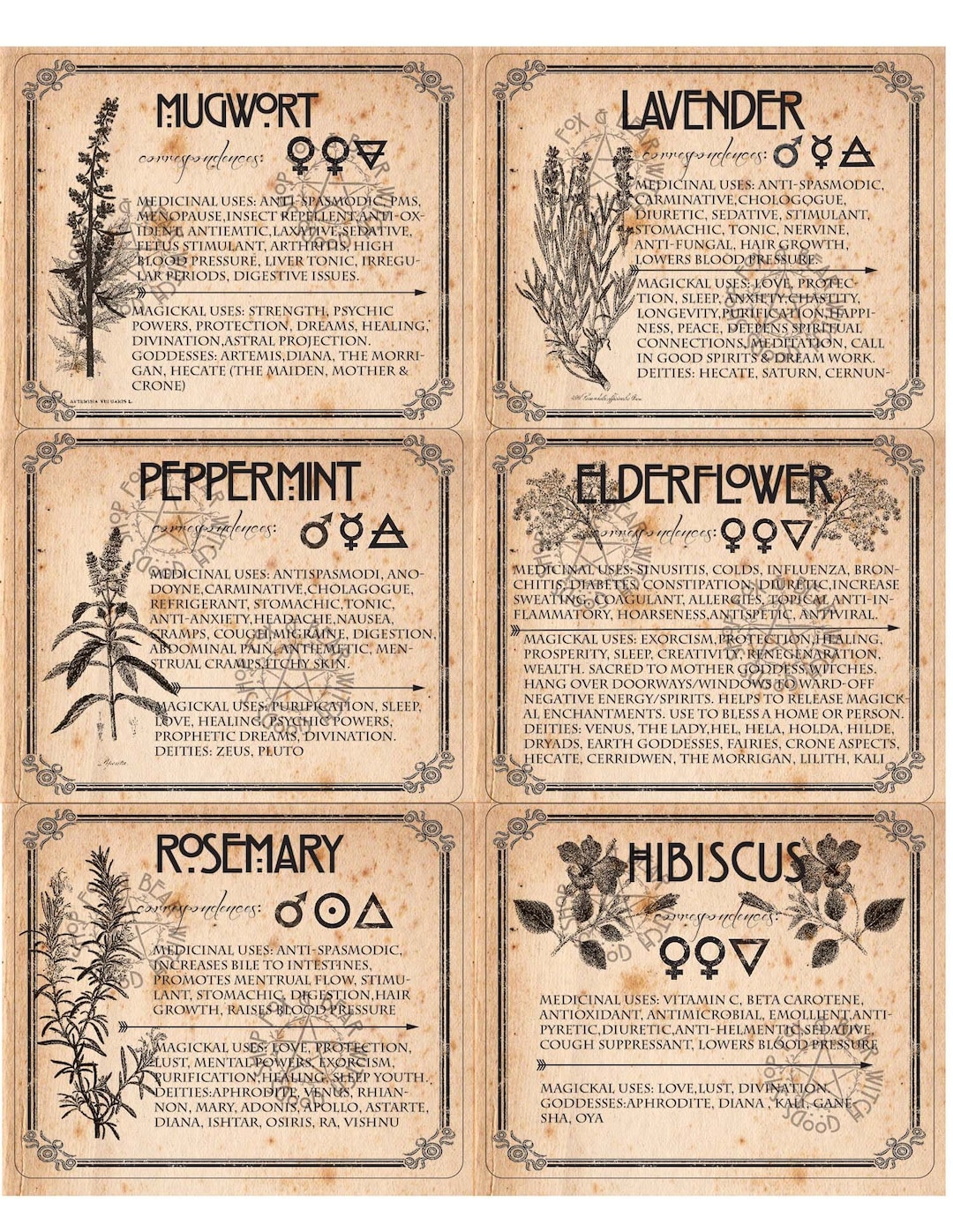witch-herb-labels-printable-6-herbs-set-2-etsy