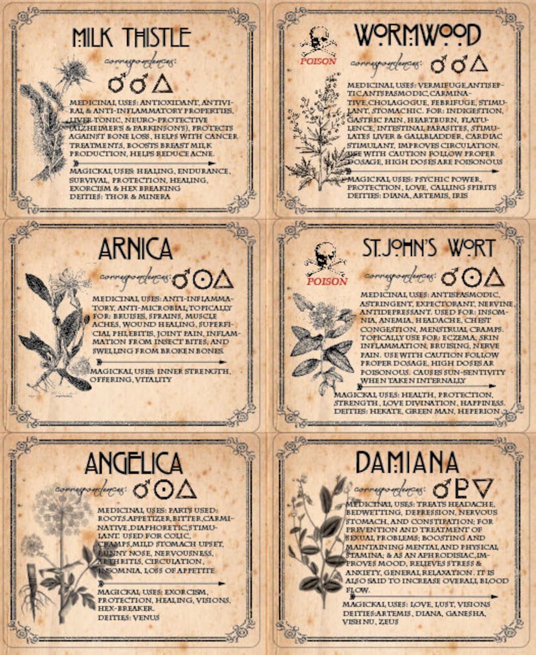 WITCH HERB LABELS Printable 6 Herbs Set 3 Wormwood Damiana Angelica - Etsy
