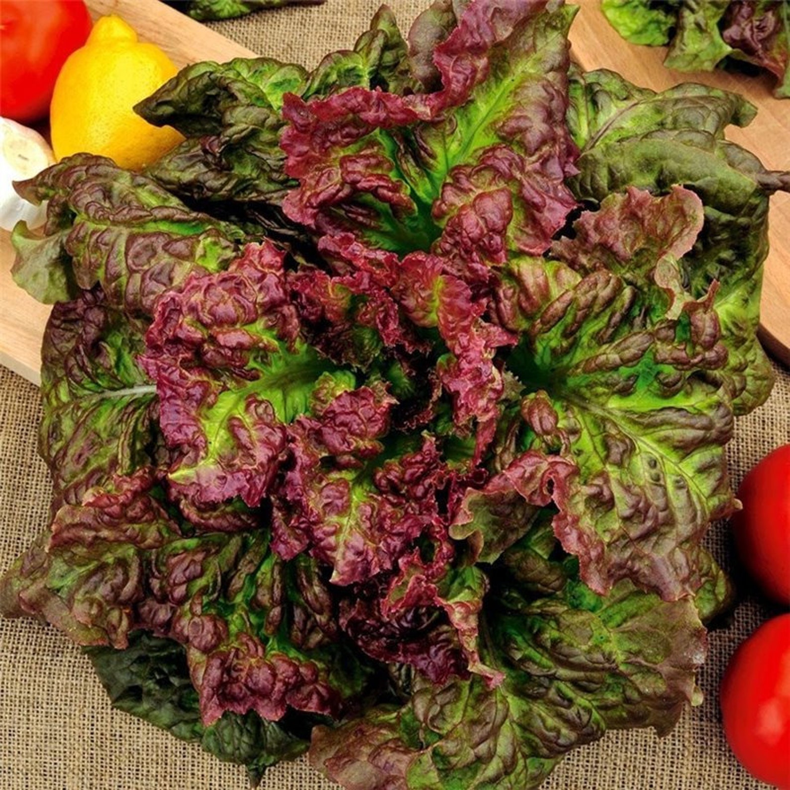 LETTUCE AMERICAN BROWN 3000 seeds Etsy