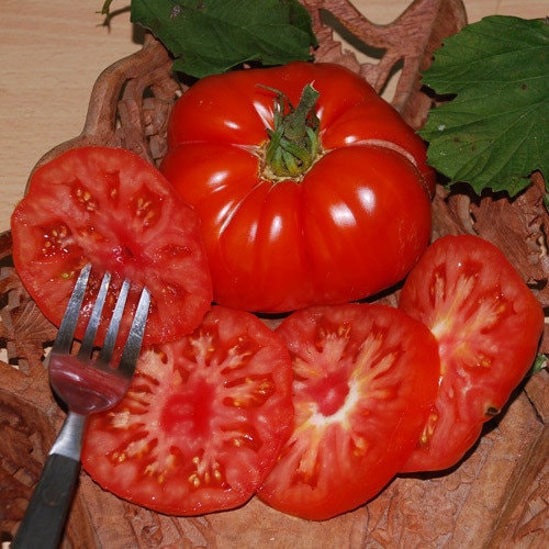 Semi Di Pomodoro Nano Fantastico (Valeyrac Exotics) &ndash; 10+ Semi, Variet&agrave; Bistecca Di Manzo Gialla, Facile Da Coltivare