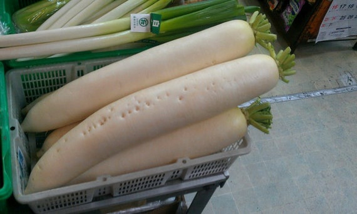 Radish GIANT WHITE DAIKON 'minowase Summer Cross' 250 Etsy