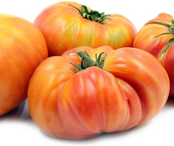 Hillbilly Tomato Seeds - Heirloom Beefsteak, Low Acid