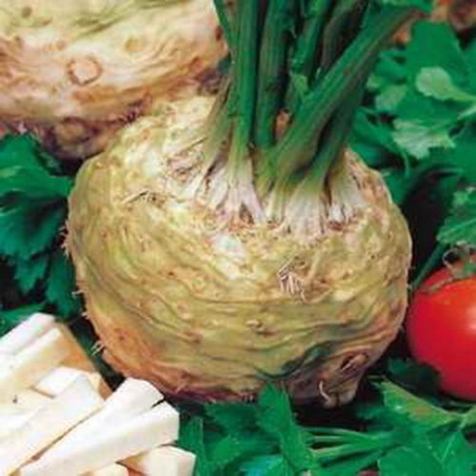 Корень Сельдерея Купить В Аптеке