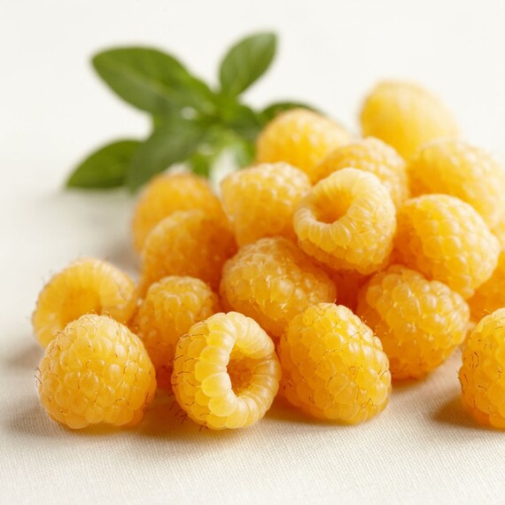 Yellow Seeds Inside Raspberry Yellow Raspberries Seeds