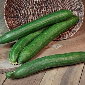 Cucumber JAPANESE KYOTO KYURI (50 seeds) Heirloom