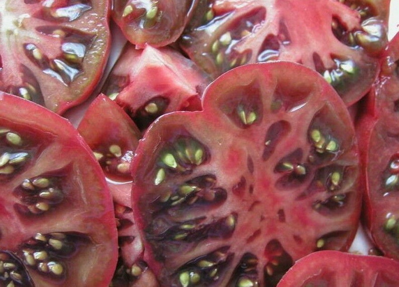 томат purple dog creek. пурпурные помидоры. томат фиолетовый чероки. помидоры сорт лидия. томат пурпурный сахарный.