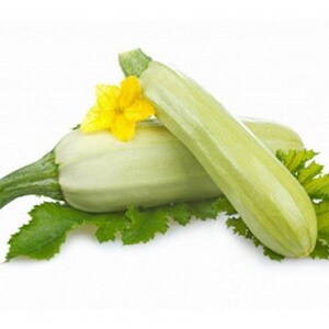 Pode incluir: Duas abobrinhas de cor verde claro com uma flor amarela no topo de uma delas. As abobrinhas estão sobre um leito de folhas verdes.