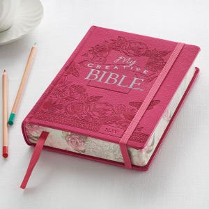 Journaling Bibles - Pink Journaling Bible - Creative Journaling Bible - Gift for women- Illustrated Bible Journal - Journal Bible