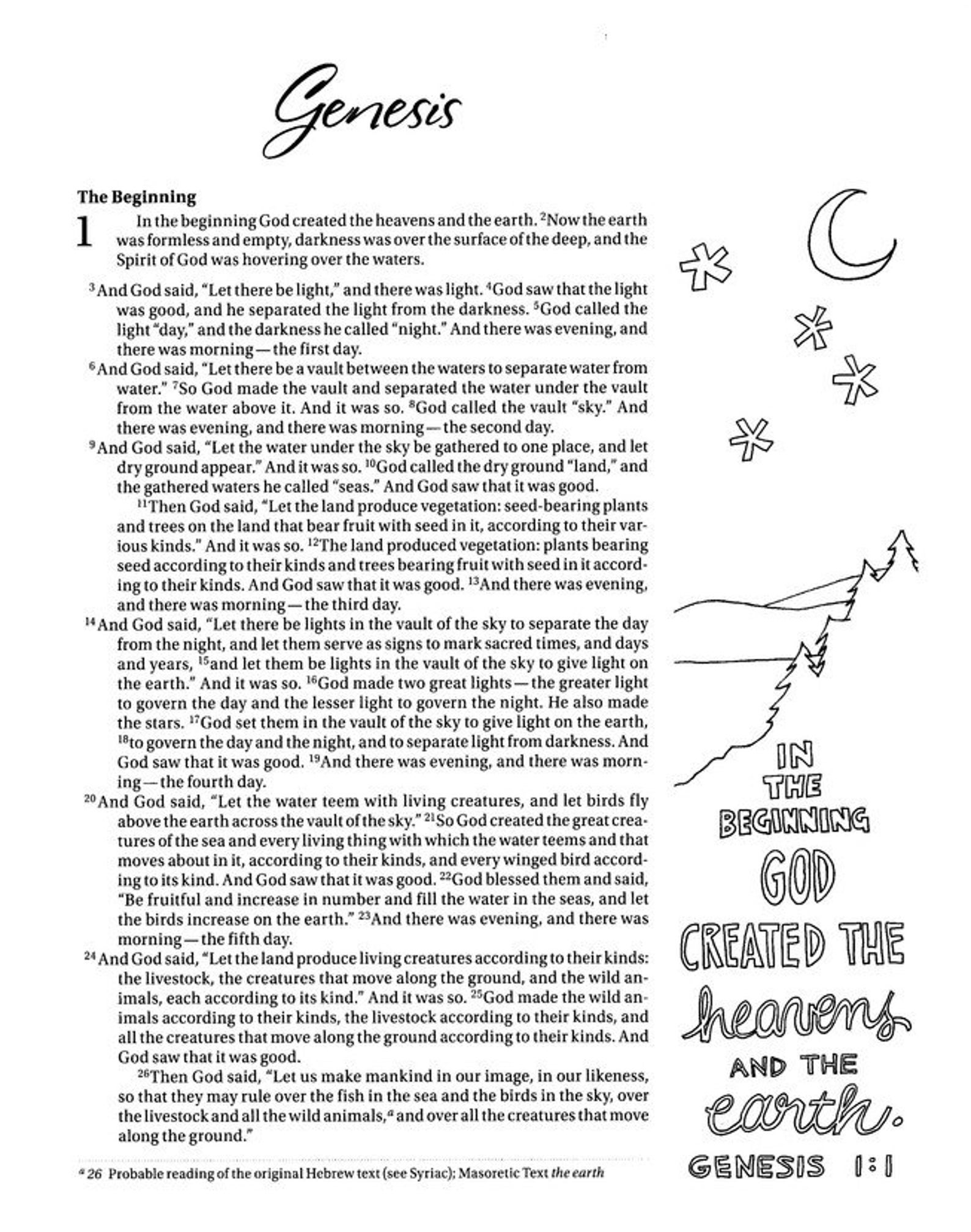 LARGE PRINT NIV Coloring Bible for Bible Journaling - Etsy