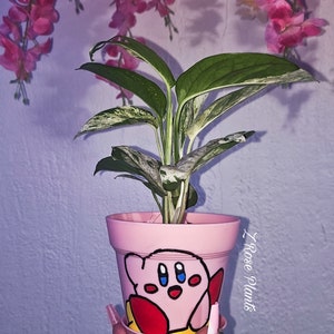 May include: A pink potted plant with white variegation in the leaves. The pot is decorated with a cartoon character, Kirby, from the video game series Kirby. The pot has the text "Rose Plants" written on the side.