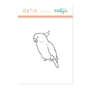 May include: Line drawing of a white cockatoo with a black beak and black eyes. The cockatoo is facing left and has its head tilted slightly to the right. The cockatoo is standing on its feet with its wings folded.