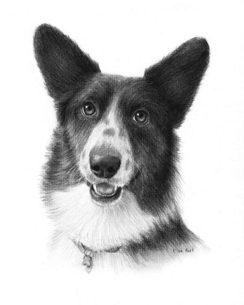 Dog Portrait Drawing Dog Drawing Custom Custom Pet Drawing Etsy
