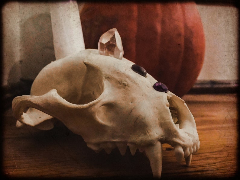 Altar Skull Crystal Candle Holder Animism Dedication