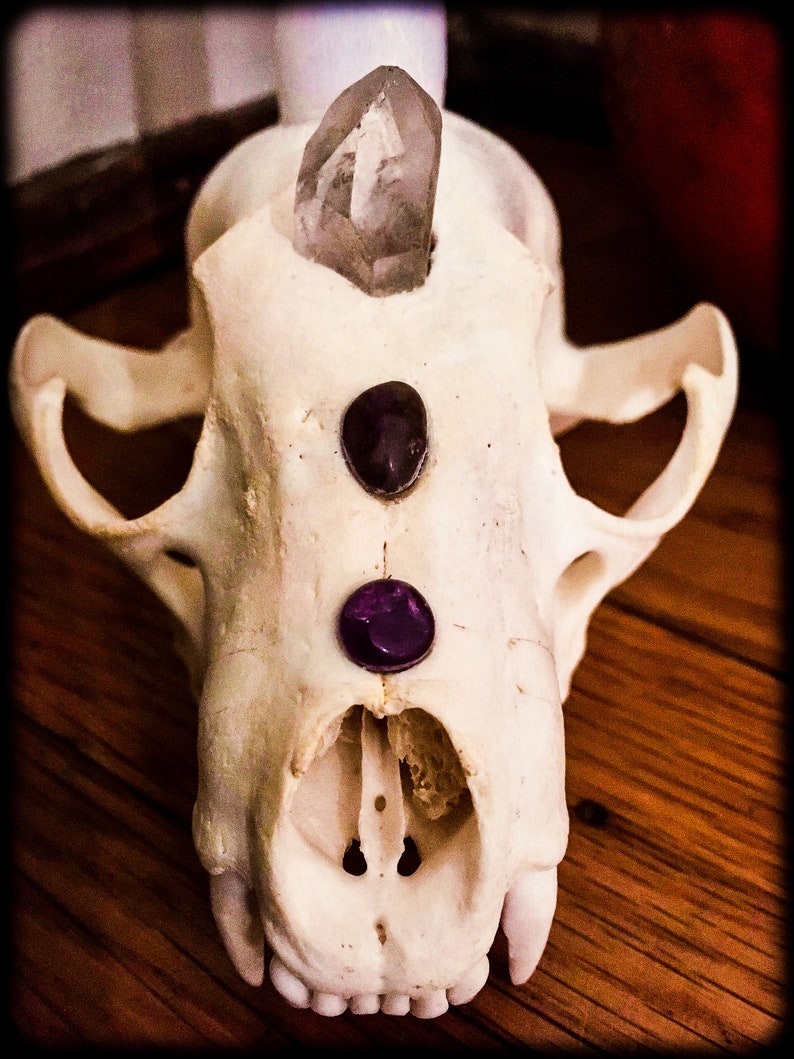Altar Skull Crystal Candle Holder Animism Dedication