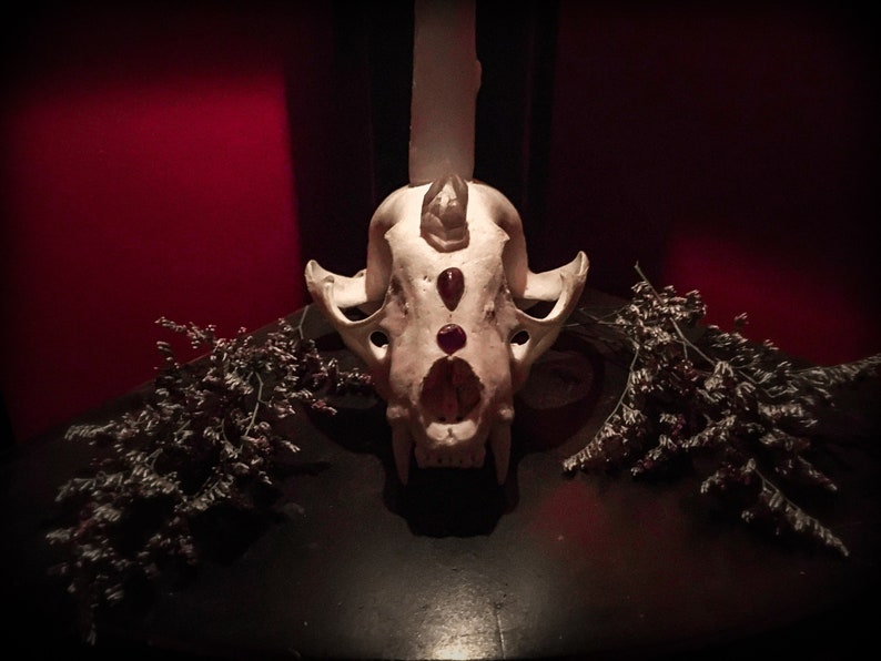 Altar Skull Crystal Candle Holder Animism Dedication
