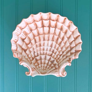 Op de afbeelding: Een decoratieve schelpvormige schaal met een gedetailleerd, getextureerd oppervlak. De schaal is voornamelijk gebroken wit met bruine accenten, tegen een turquoise, verticaal gepaneerde achtergrond. Het ontwerp bootst de natuurlijke vorm van een schelp na.