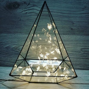 Terrarium géométrique hexagonale en verre forme terrarium lanterne planteur une
