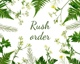 Rush Order Fee