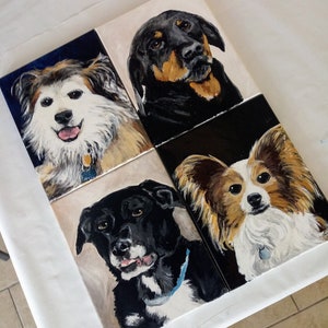 Painted Pet Portraits