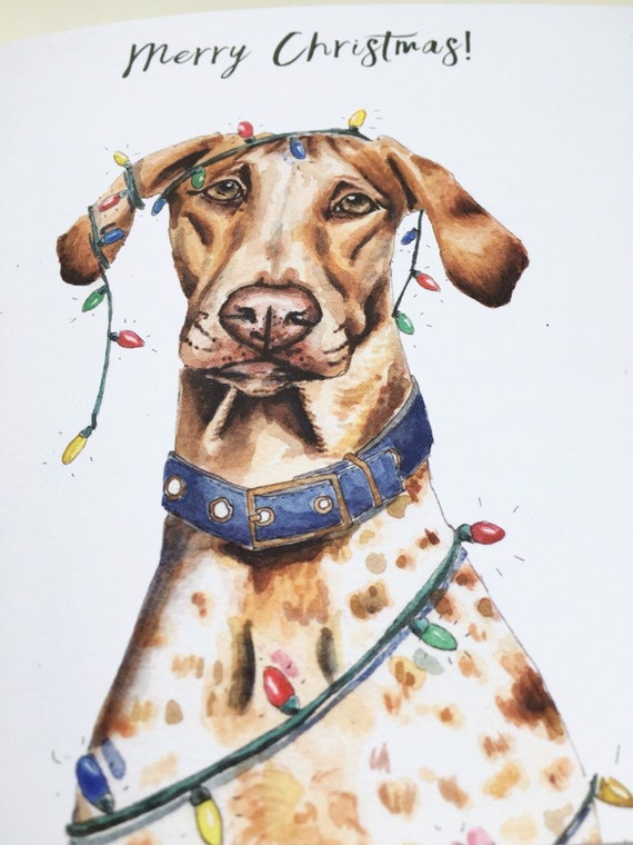 Weihnachtskarte Hund Baldachin