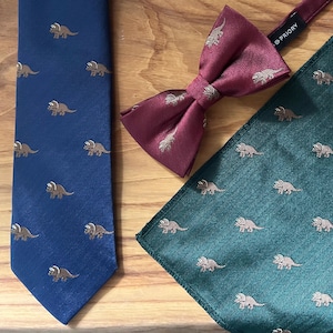 Peut inclure: Une cravate bleue, un nœud papillon bordeaux et une pochette verte avec un motif de dinosaures répété. La cravate et la pochette ont un tissage en chevrons. Le nœud papillon porte le texte "PRIORY" au dos.