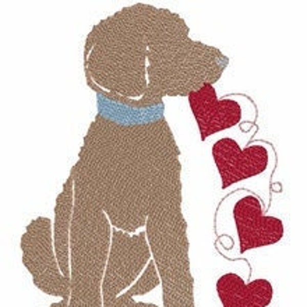 Valentine Doodle Boy Quick Stich Embroidery