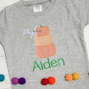 May include: A gray short-sleeved shirt with a stack of three embroidered pumpkins and the name "Aiden" in green embroidery.
