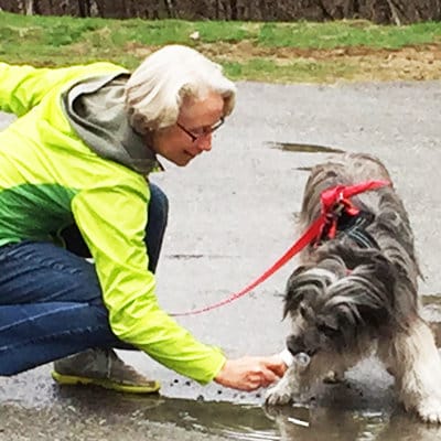 AKC Scent Work Training Kit