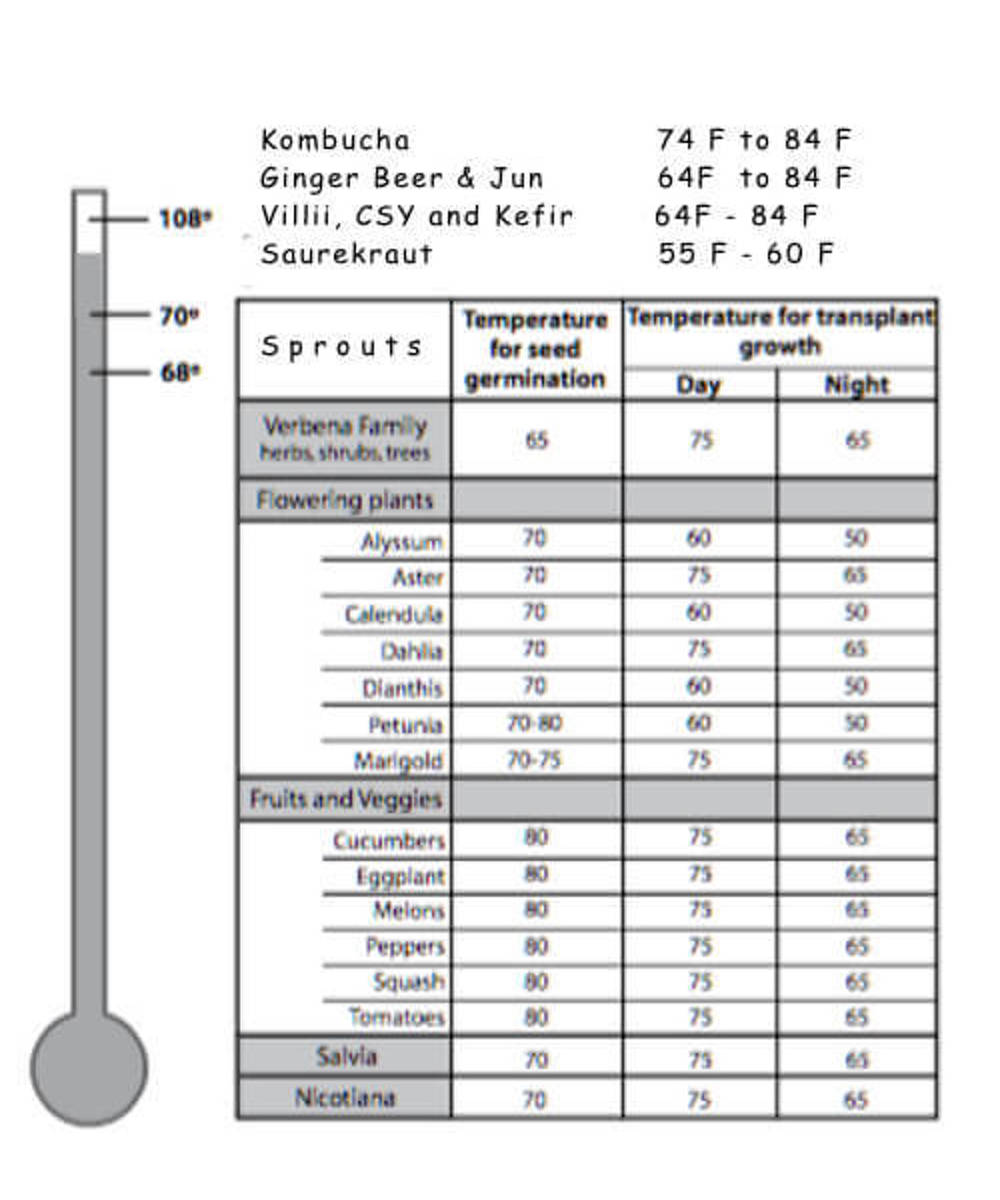 Kombucha Heat Pad Thermostat Pet Warmer Seedling Warming Etsy