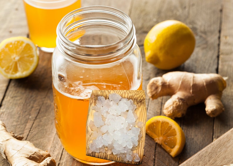 Ginger Beer Plant Culture Starter Etsy Australia