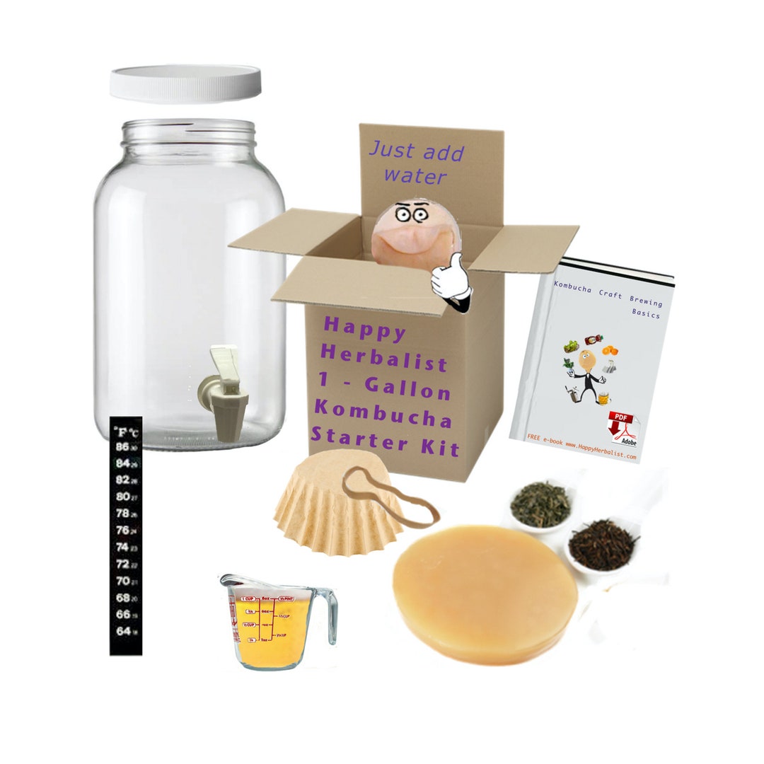 Kombucha Complete Kombucha Brewing Kit With One Gallon Glass Jar With Spigot Etsy