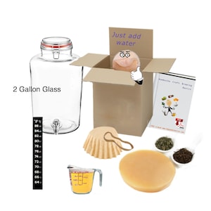 Complete Kombucha Starter Kit includes 2  Gallon Jar and Brewing Guide