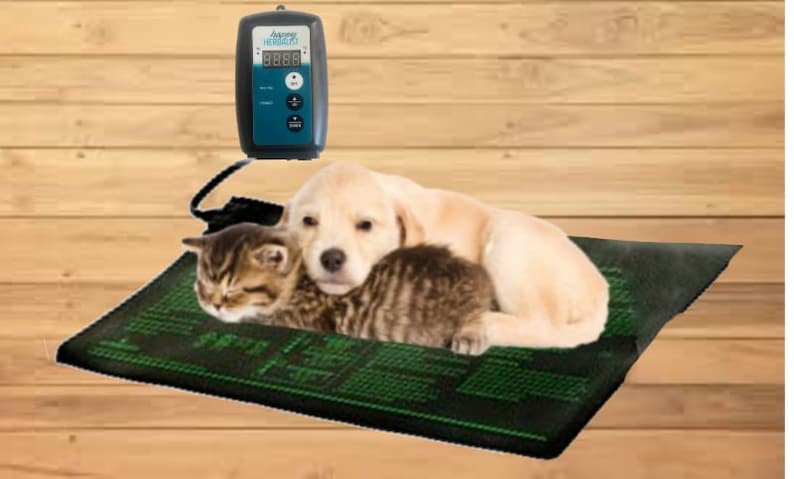 HappyHerbalist heating mats are dog and cat friendly. Lizards too. Hard flexible durable plastic with thermo control.