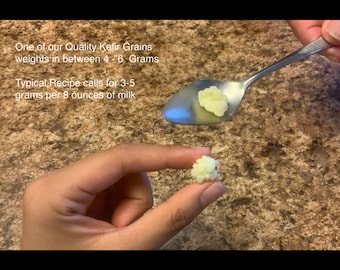 Goat Kefir Grains All Natural