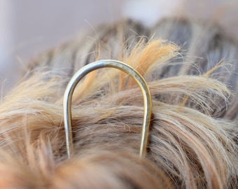Hair pin, bicolor hair accessory