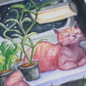 Die Astrobiologe Katze