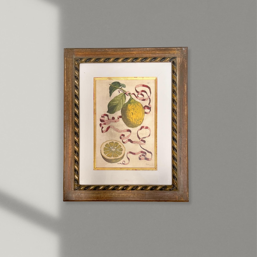 水彩画　limone lemon.jpg?auto=format&fit=max&