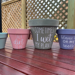 Painted Flower Pots with Funny Sayings, Customized Flower Pots, Personalized Gifts, Spring, Flowers, Painted Terracotta pots