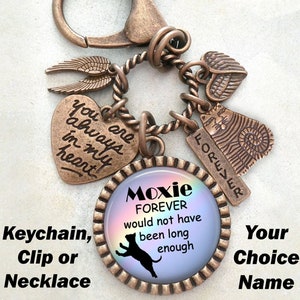 Puede incluir: Un llavero de bronce con un encanto iridiscente arcoíris que dice "Moxie FOREVER would not have been long enough". El encanto presenta una silueta de gato negro. El llavero también incluye un encanto de corazón que dice "You are always in my heart!" y un encanto de huella de pata que dice "FOREVER".