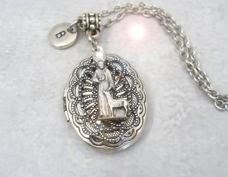 Heal My Pet St Protect My Pet St Francis Necklace Francis Locket Patron Saint of Animals Animal Lover Gift Saint Francis w-Dog Locket