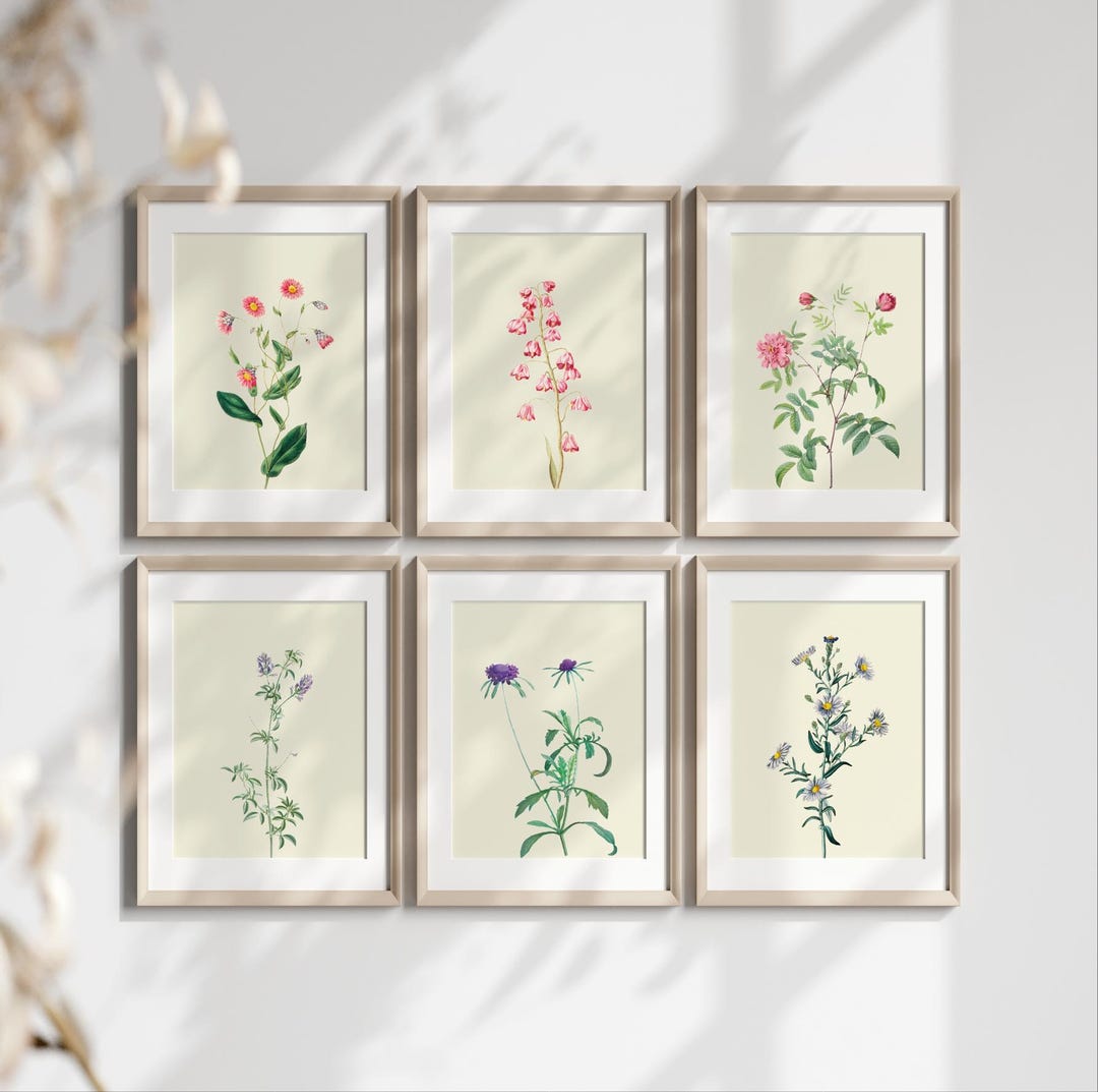 Vintage Botanical Prints Gallery Wall Set of 6, Floral Poster ...