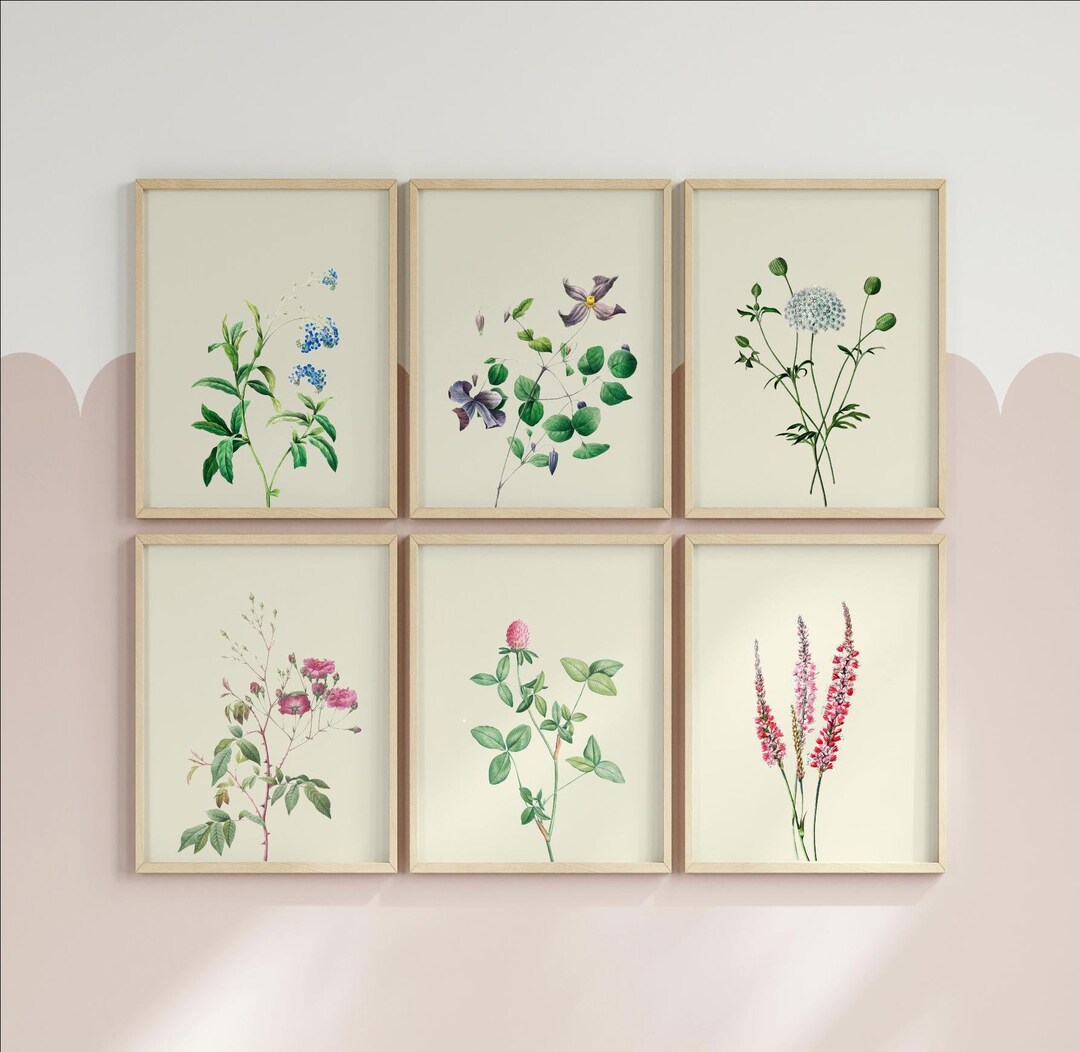 Vintage Botanical Prints Gallery Wall Set of 6, Floral Poster ...